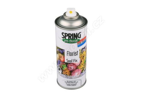 SPRING SEAL FIX 400ML (CL GLANS)