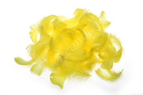 Dekoračné pierka kanárikovo žltá